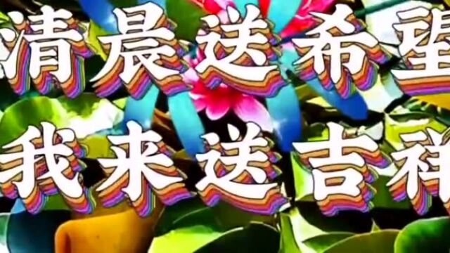 心态阳光,一路芬芳