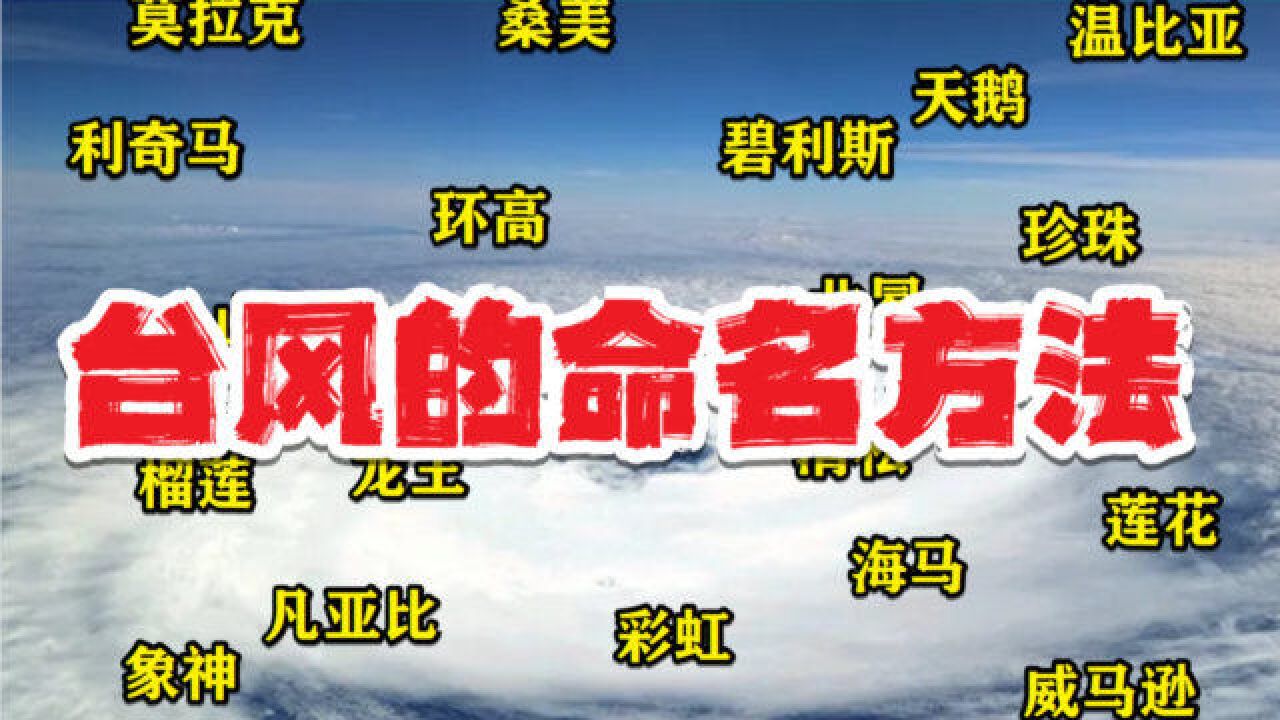 桑美、天鹅、碧利斯,台风是如何命名的?