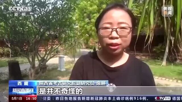 真棒!西藏首次发掘建筑遗址