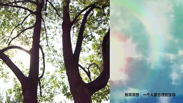 假日书房|钱理群:今天的中国特别需要梦的精神