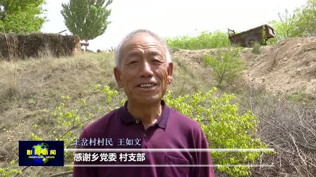 蔺少刚:传授红梅杏嫁接技术 助农增收致富