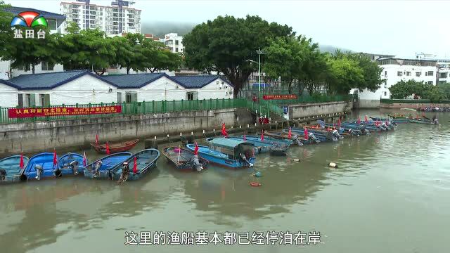 盐田区避风塘渔船已全部回港避风