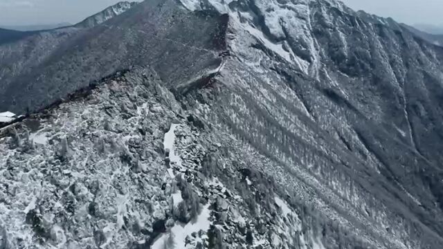 雪霁初晴——太白山现雪淞景观