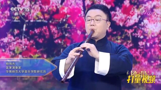 广东音乐《连环扣》,杨伟杰、沙泾珊演奏,直击灵魂