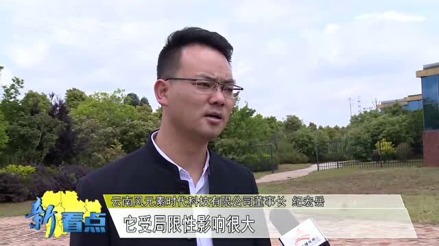 文山网红主播们的幕后故事