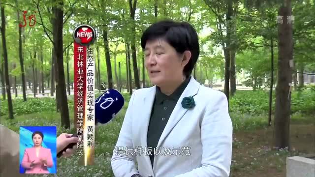 【极光新闻报道】黑龙江:首个寒带地区生态产品价值核算(评估)试点启动