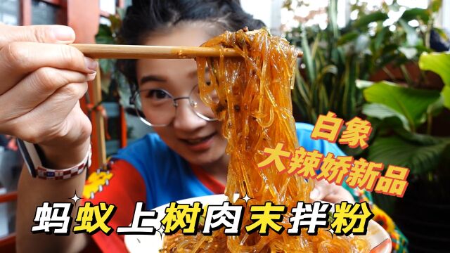 【vlog】白象大辣娇出新品了!5分钟速成川渝江湖名肴,不想尝尝吗