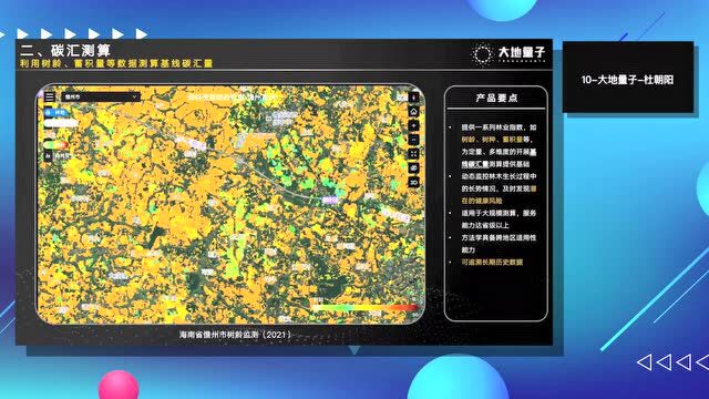 “双碳星物种”可持续创新大赛|大地量子用「卫星+AI」加速林业碳汇数字化