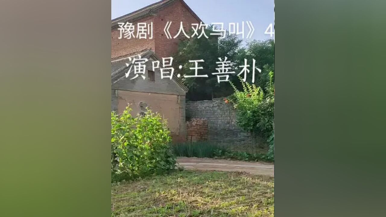 豫剧现代戏《人欢马叫》唱腔精选 宽他娘可不能见识太浅 王善普饰演剧