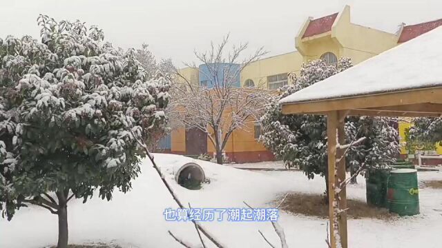 雪中的金萌,炎炎夏日,看看雪景,清凉一夏