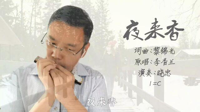 口琴演奏:《夜来香》,经典老歌,非常好听