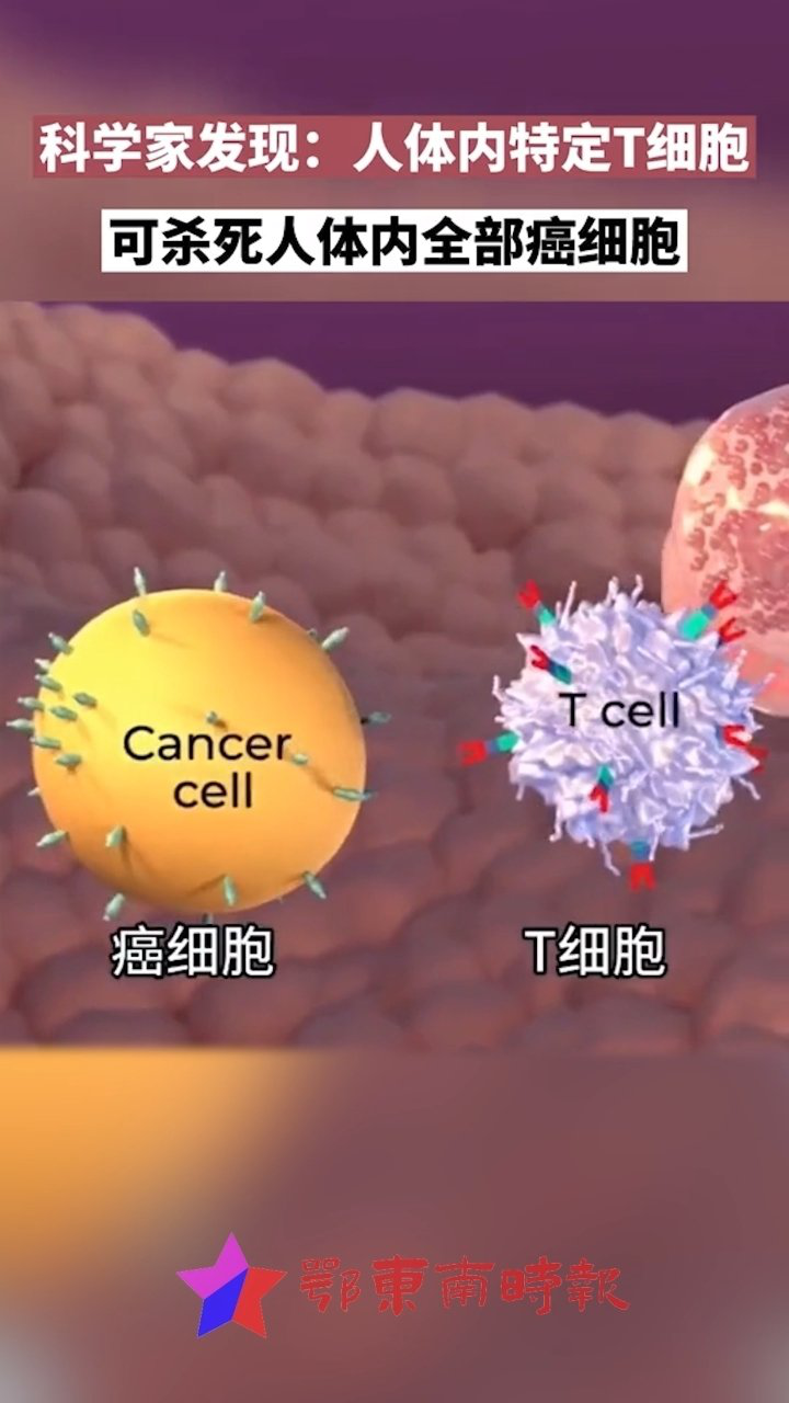 科学家最新发现,人体内的特定t细胞可杀死全部癌细胞,很快癌症就不再