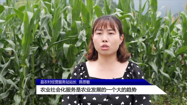 点这里看 | 2022年6月23日桑植新闻