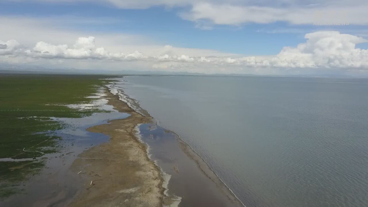 新华全媒+|直击青海湖湟鱼洄游高峰