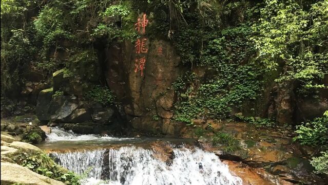 炎炎夏日,南昌梅岭避暑,这里有鳖的美好传说,更能感受清凉一夏