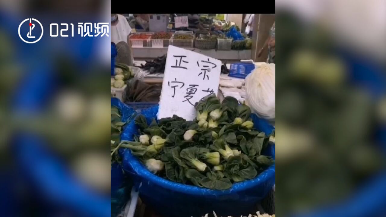 宁夏蔬菜今夏在上海大量上市:上市量较去年增加5成,品种增至7种