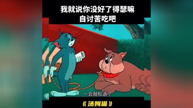 汤姆猫搞笑视频