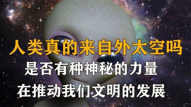 为何有人说我们人类才是真正的外星人,人类起源是猴子进化的吗?