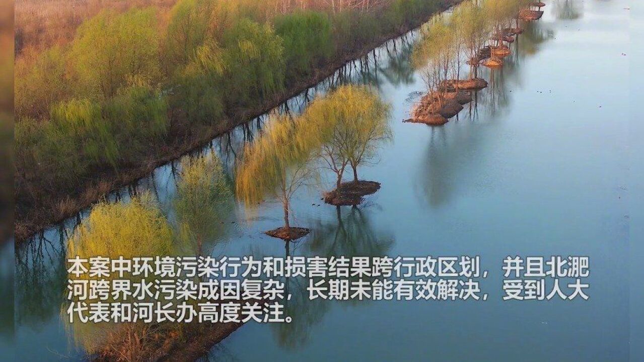 800余吨垃圾清理后污染仍未解决,怎么办?