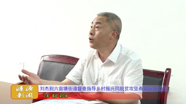 刘杰到六亩塘街道督查指导乡村振兴同脱贫攻坚有效衔接工作