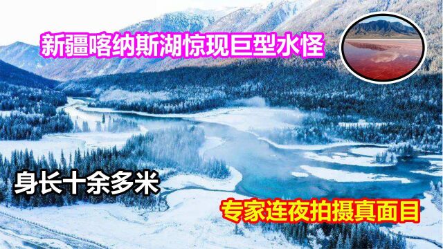 新疆喀纳斯湖神秘水怪浮出水面,身长近10长,专家调查给出答案