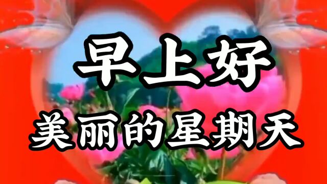 早上好,美丽的星期天,早安吉祥,快乐每一天