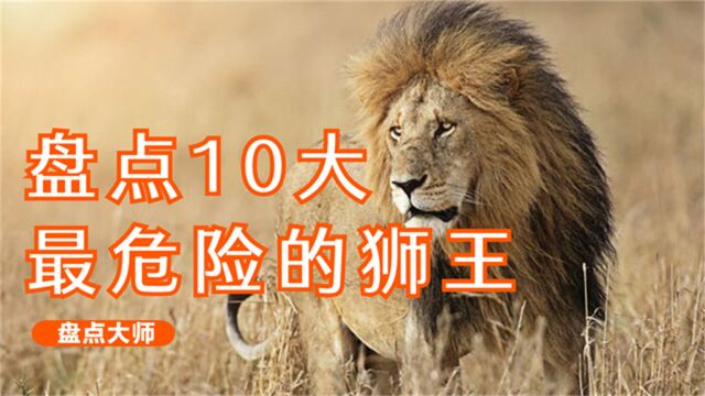 盘点10大最危险的狮王:老恩力压疤面排第4,T先生第1无悬念