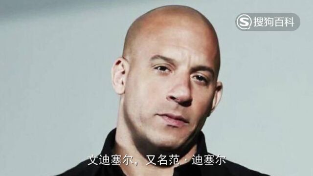 立懂百科带你了解文迪塞尔