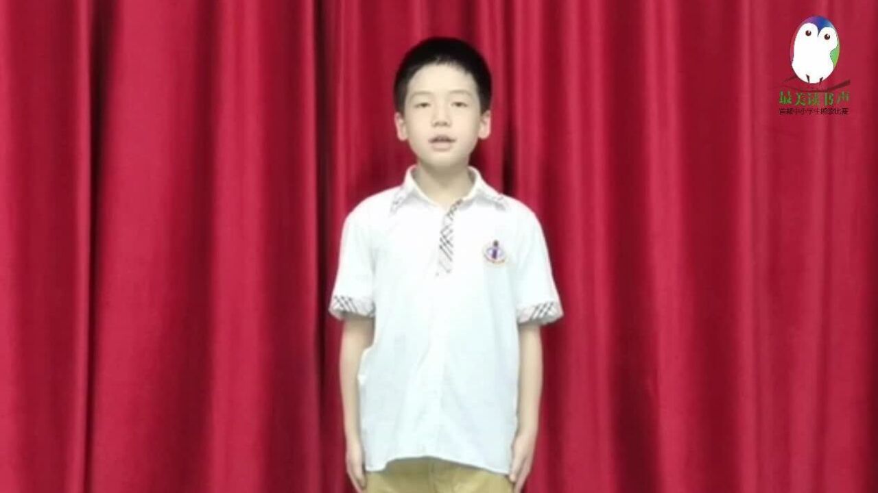 王晨宇中关村一小小学组