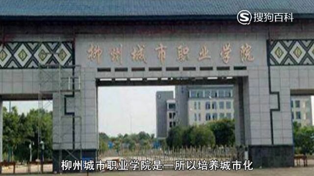 立懂百科带你了解柳州城市职业学院