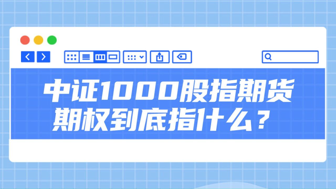 中证1000股指期货期权到底指什么?