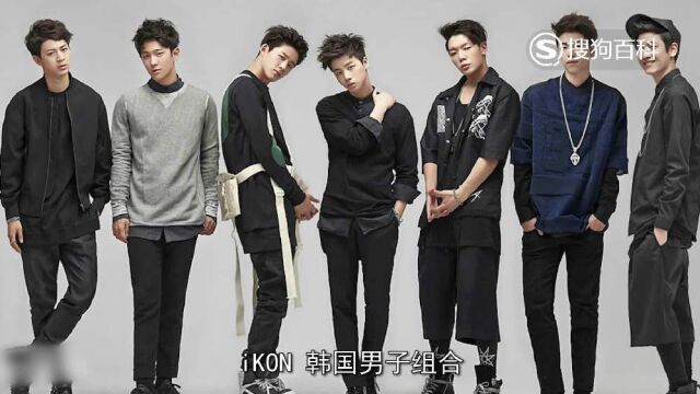 立懂百科带你了解iKon