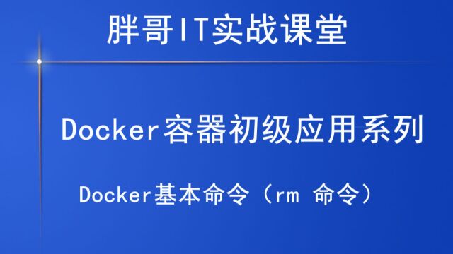 Docker基本命令(rm 命令)下12