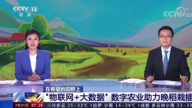 “物联网+大数据”数字农业助力晚稻栽插