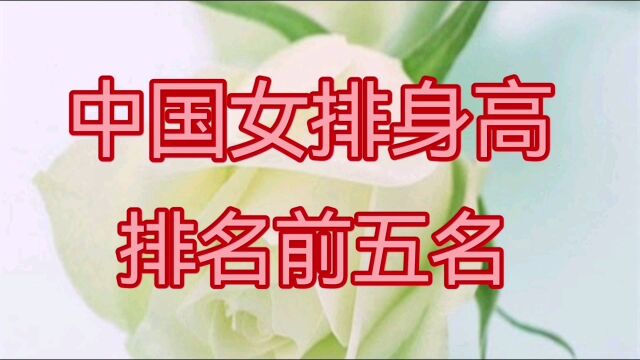 中国女排身高排名前五名,看看都有谁?