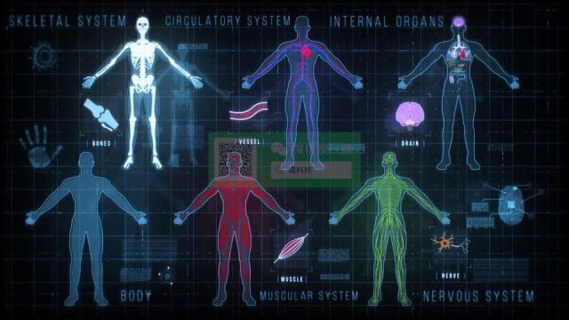 AE模板200+种HUD科技人体解剖学动画UI界面元素视频素材