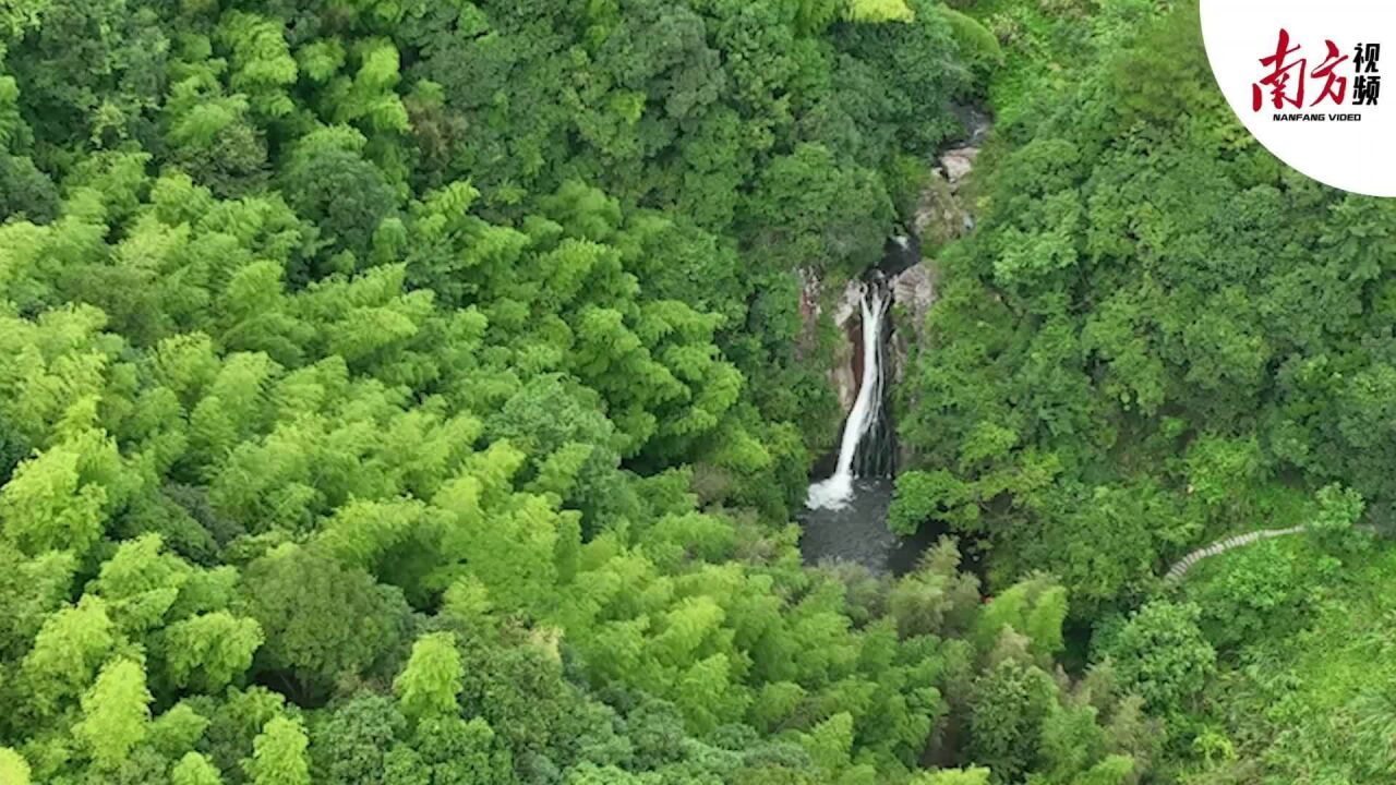 源头活水,绵绵不绝!粤港澳摄影家留影东江源头