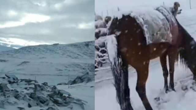 新疆青河县三道海子景区迎来降雪,高温地区的网友纷纷直呼羡慕