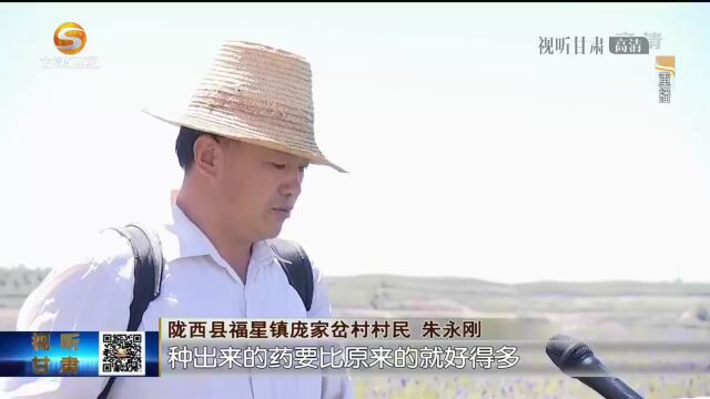 陇西:打造特色产业集群 促进农业高效发展