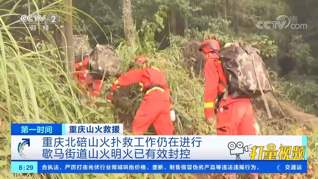 关注!重庆北碚区歇马街道山火明火已有效封控