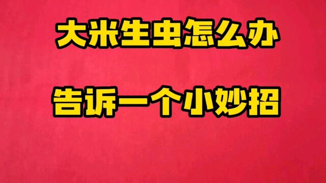 大米生虫怎么办,米店老板教的一个小妙招,大米放一年都不长虫,