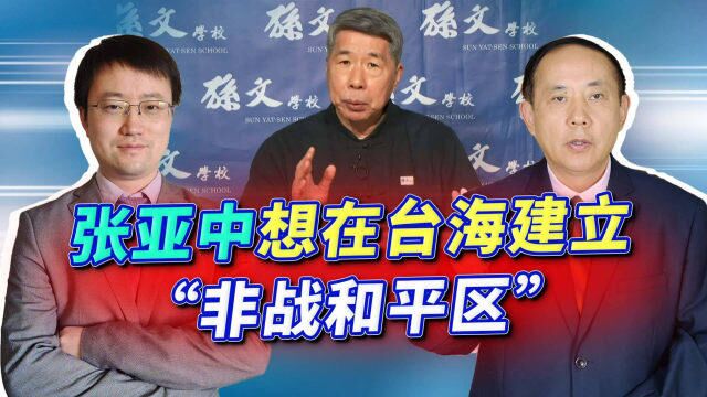 张亚中想在台海建“非战和平区”,要求给出四项承诺,靠谱吗?