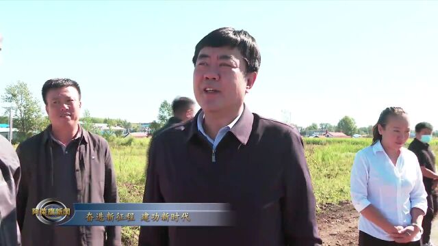 市委常委、政府常务副市长白海林深入阿荣旗调研