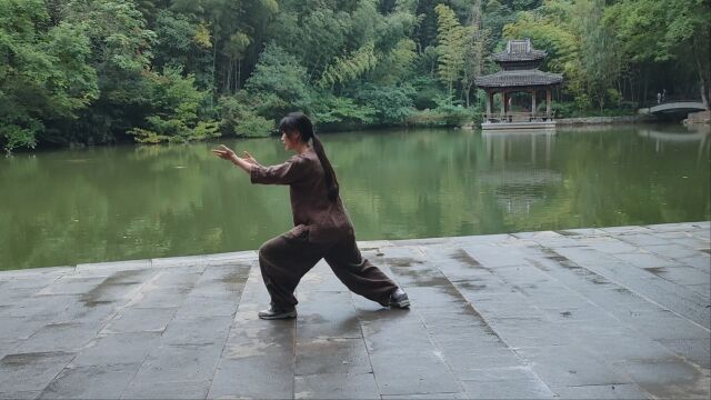 美到极致 武当太极拳 武当太极十三势 滁州 魏锦莲