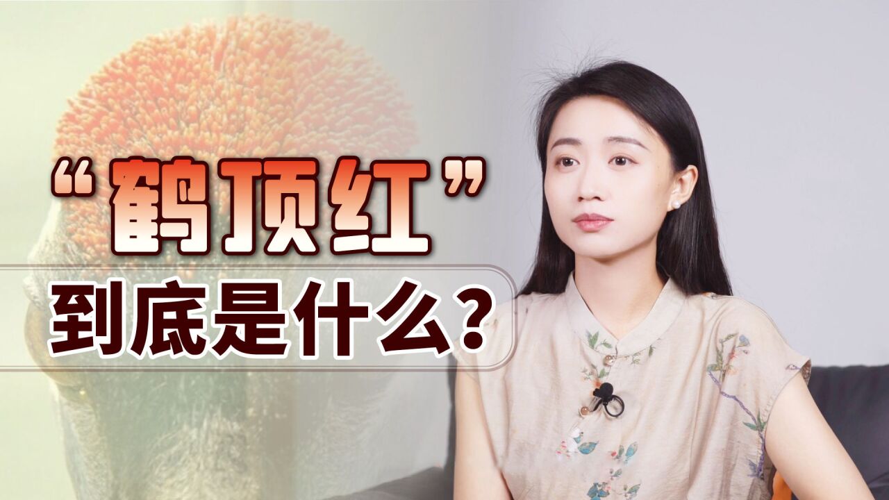 古代“毒药之王”鹤顶红,毒性能有多强呢?