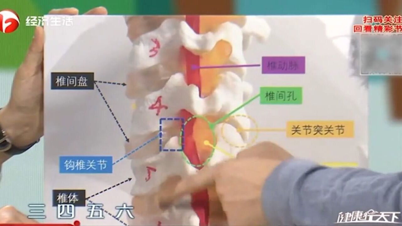 颈椎病的症状是什么呢?专家现场为你解答,涨知识了丨健康行天下