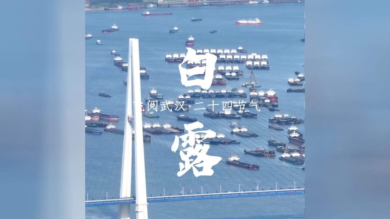 飞阅武汉ⷤ𚌥四节气 | 白露:鸿雁来,玄鸟归