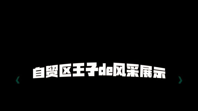 王子的风采展示