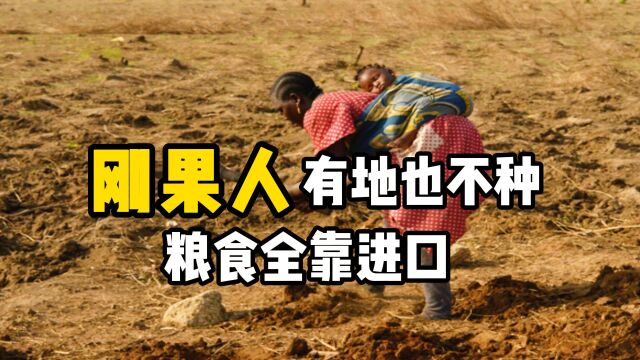 “瞧不起”种地的?非洲刚果坐拥12亿亩耕地,为啥没人种?