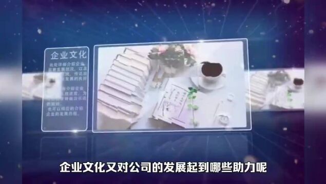 麟龙股份(财咨道):从“言行举止”判断企业文化力